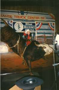 Yes, that's a real bull. Yes, it's stuffed. 