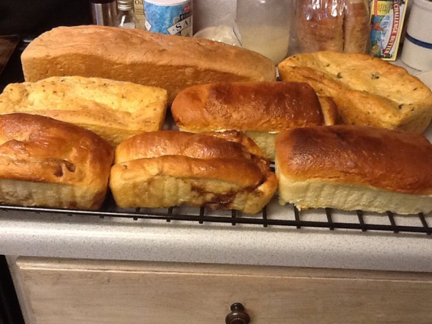 Friendship Bread, Tejas Style